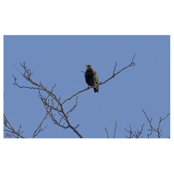 PHOTO84, CLUB, 84 , LUBERON